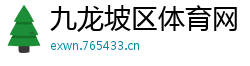 九龙坡区体育网